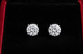 1 carat lab diamond earrings igi certified
